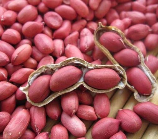 Store of Large Red Raw Skin peanuts