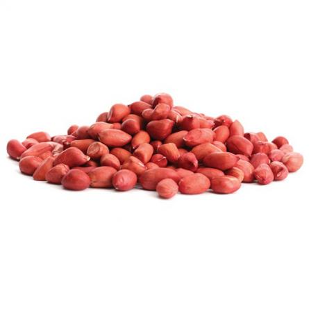 Peanut  Rich in Vitamins E and Biotin