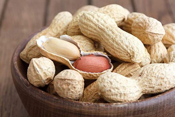  Raw Peanuts With Shell Order