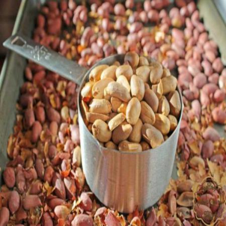 Premium Organic Peanut Bulk