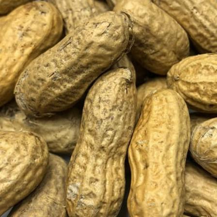 Health Benefits of Raw Peanuts