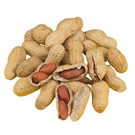 Organic Peanut Raw Producer