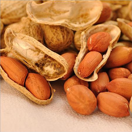  Organic Peanuts Exportation