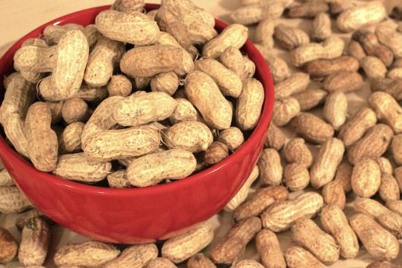  Raw Peanuts With Shell Manufacturers
