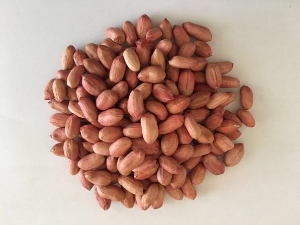 Peanuts Help Control Blood Sugar