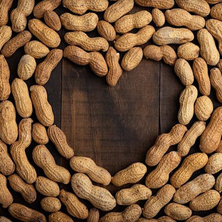 Peanuts may Lower the Risk for Cardiovascular Disease
