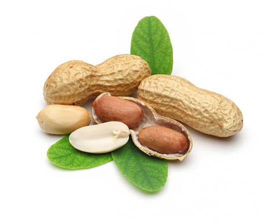 Top Seller Raw Peanuts Without Skin