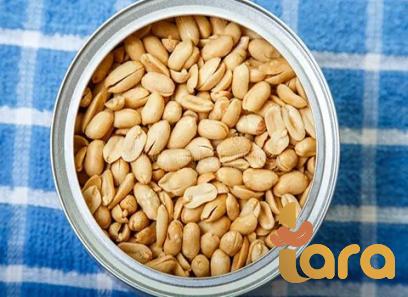 Buy peanut in spanish mexico + great price with guaranteed quality