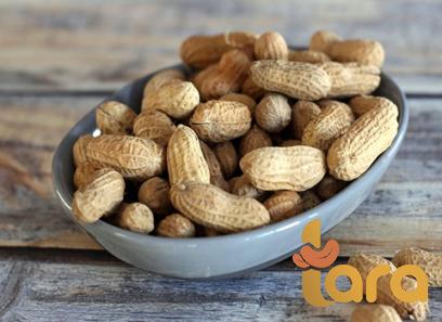 Buy salted peanut for pregnant + great price with guaranteed quality