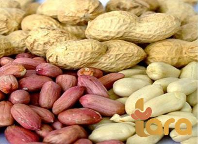 Buy Roasted peanuts homemade + great price with guaranteed quality