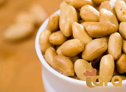 Buy big peanut america + great price with guaranteed quality