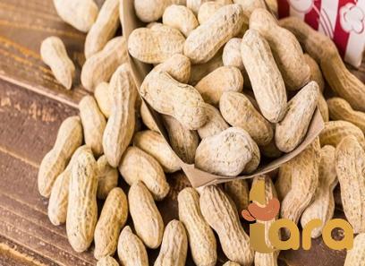 Buy dry roasted peanuts + great price with guaranteed quality