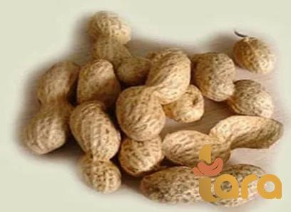 spanish peanuts purchase price + sales in trade and export