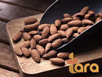 farm peanut price list wholesale and economical