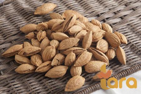 roasted peanut for weight loss price list wholesale and economical