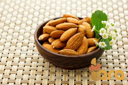 farm direct peanuts price list wholesale and economical