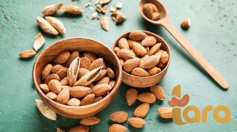 healthy raw peanut price list wholesale and economical
