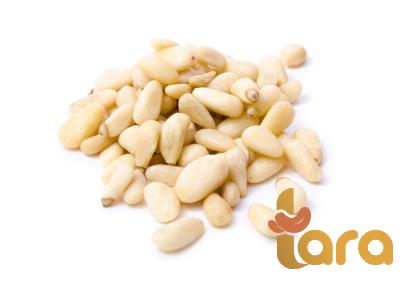 bulk roasted and salted peanut in shell price list wholesale and economical