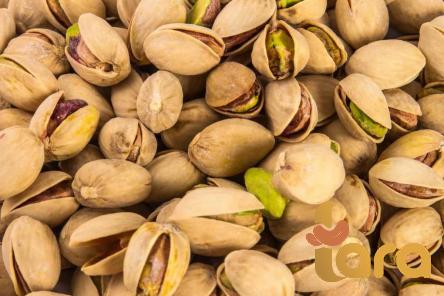 dry peanuts for boiling price list wholesale and economical