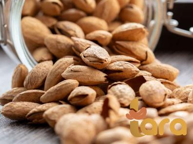 peanut healthy or unhealthy price list wholesale and economical